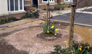 Landscaping image 1