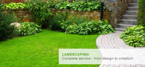 Landscaping